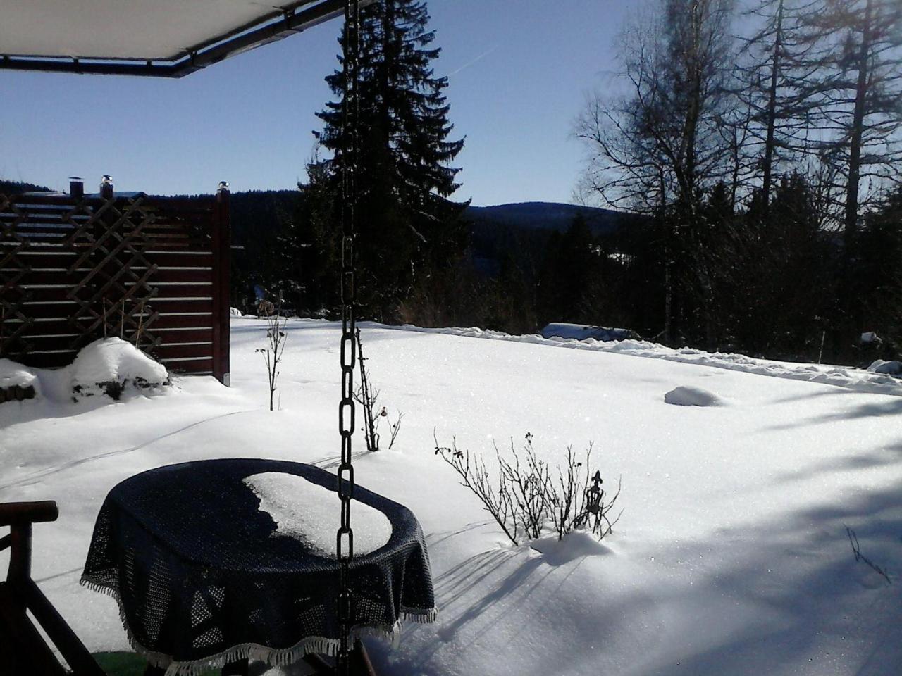 Sonnige-Waldruhe-Am-Skiberg Feldberg (Baden-Wurttemberg) Exterior photo